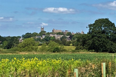 A walk among the fields with Lancaster Castle in the distance