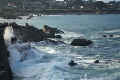 Pacific Grove