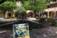 Arles Van Gogh