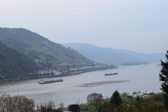 The Rhine from above Bacharach
